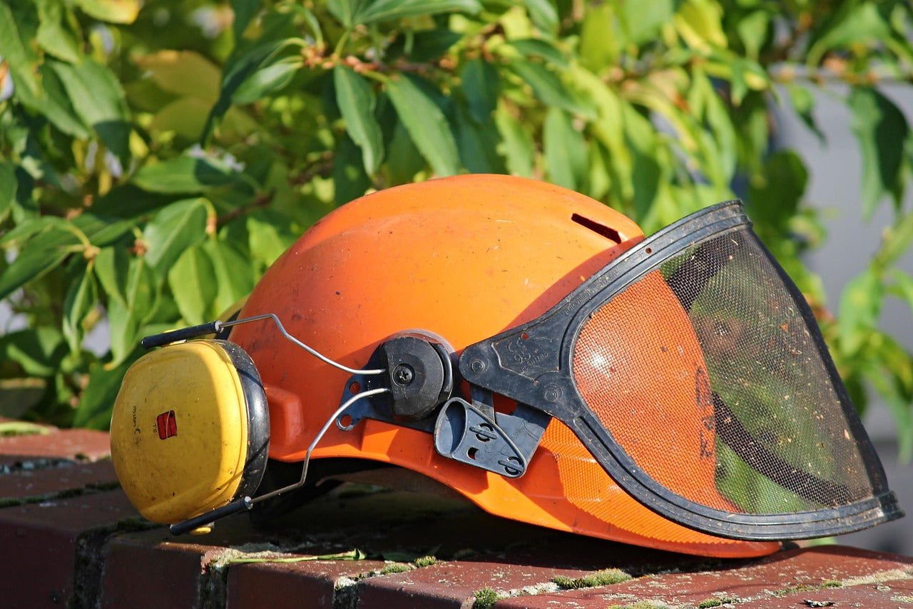 Forestry Head Protection