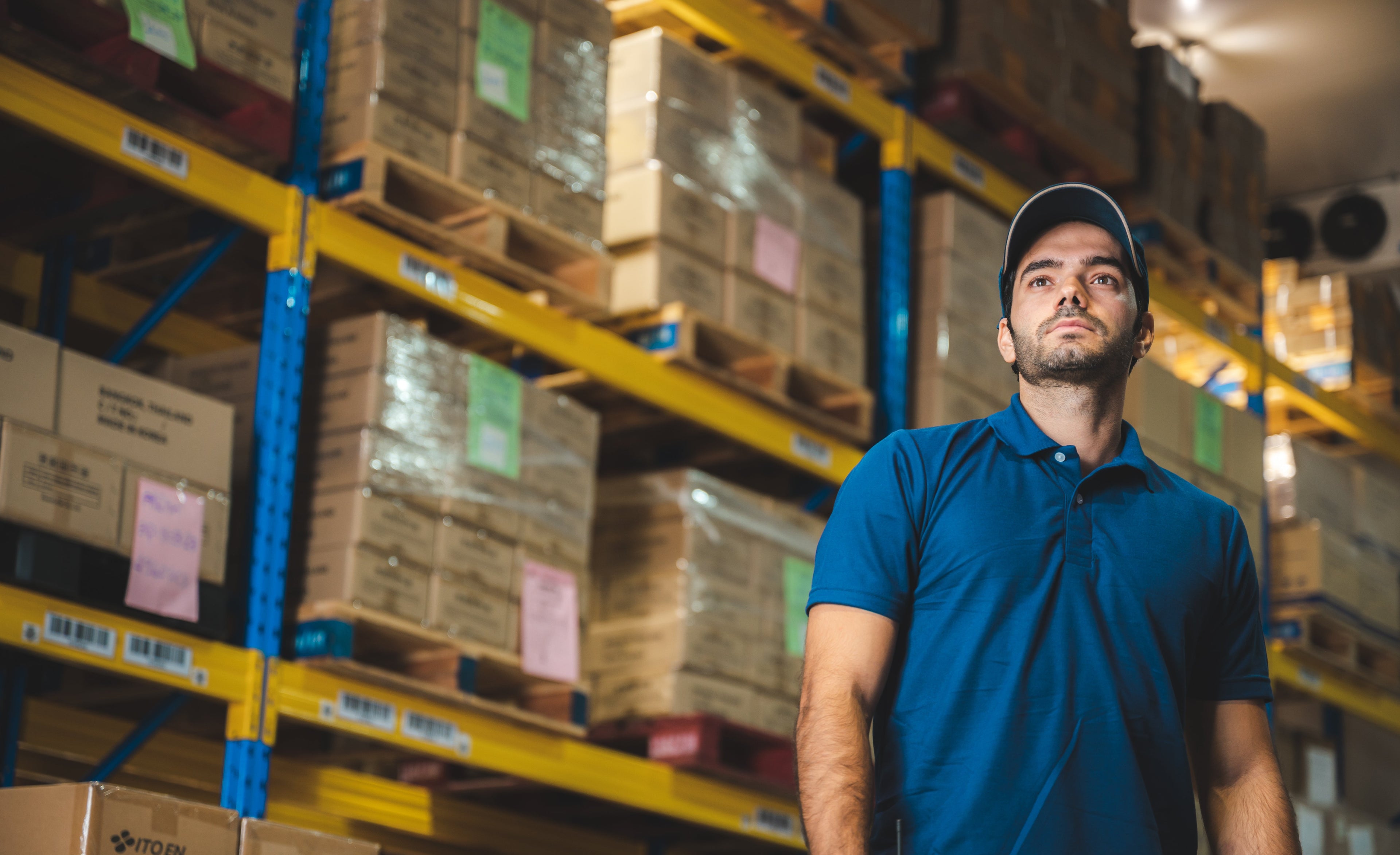 Warehouse Tops