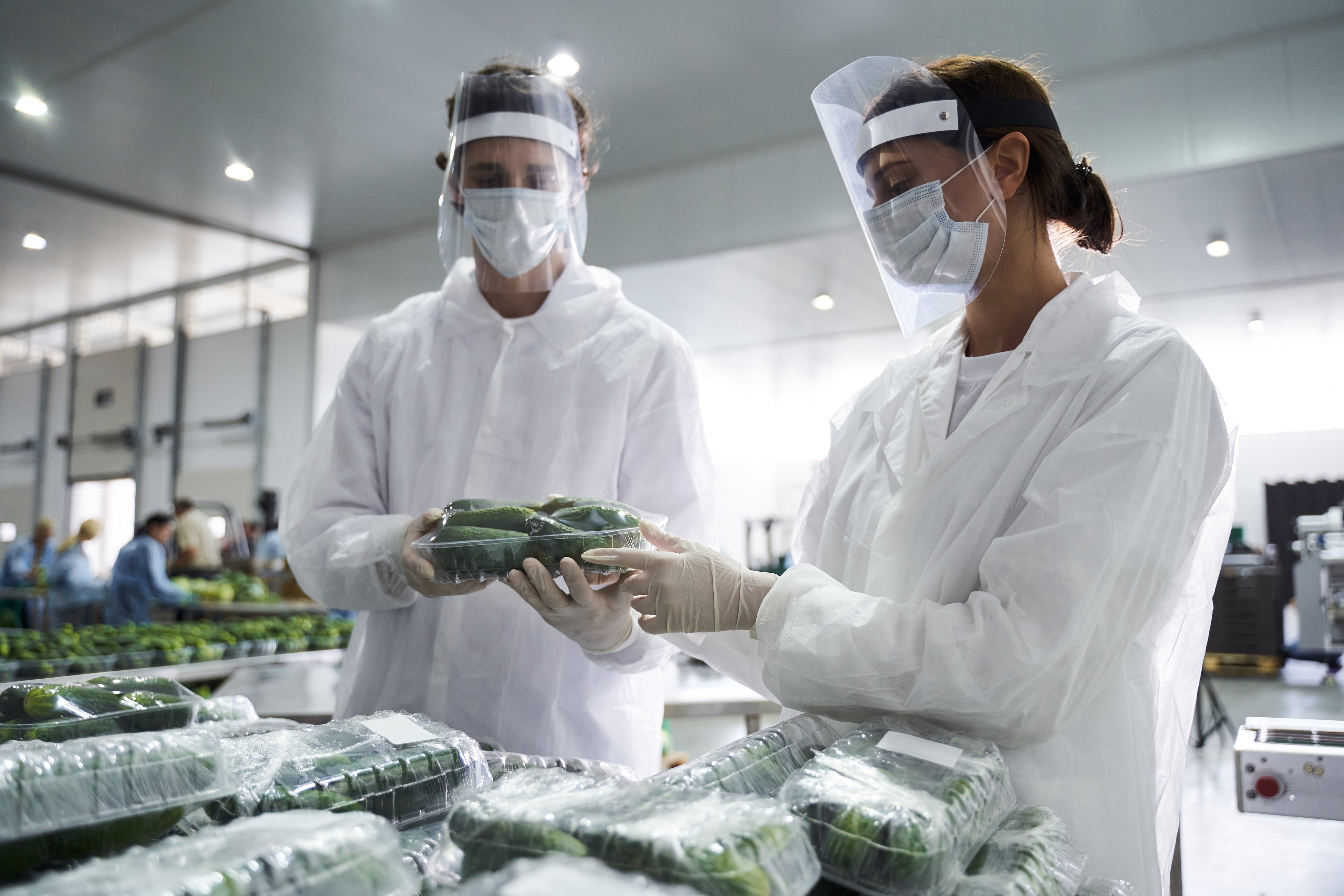 Food Industry Disposables