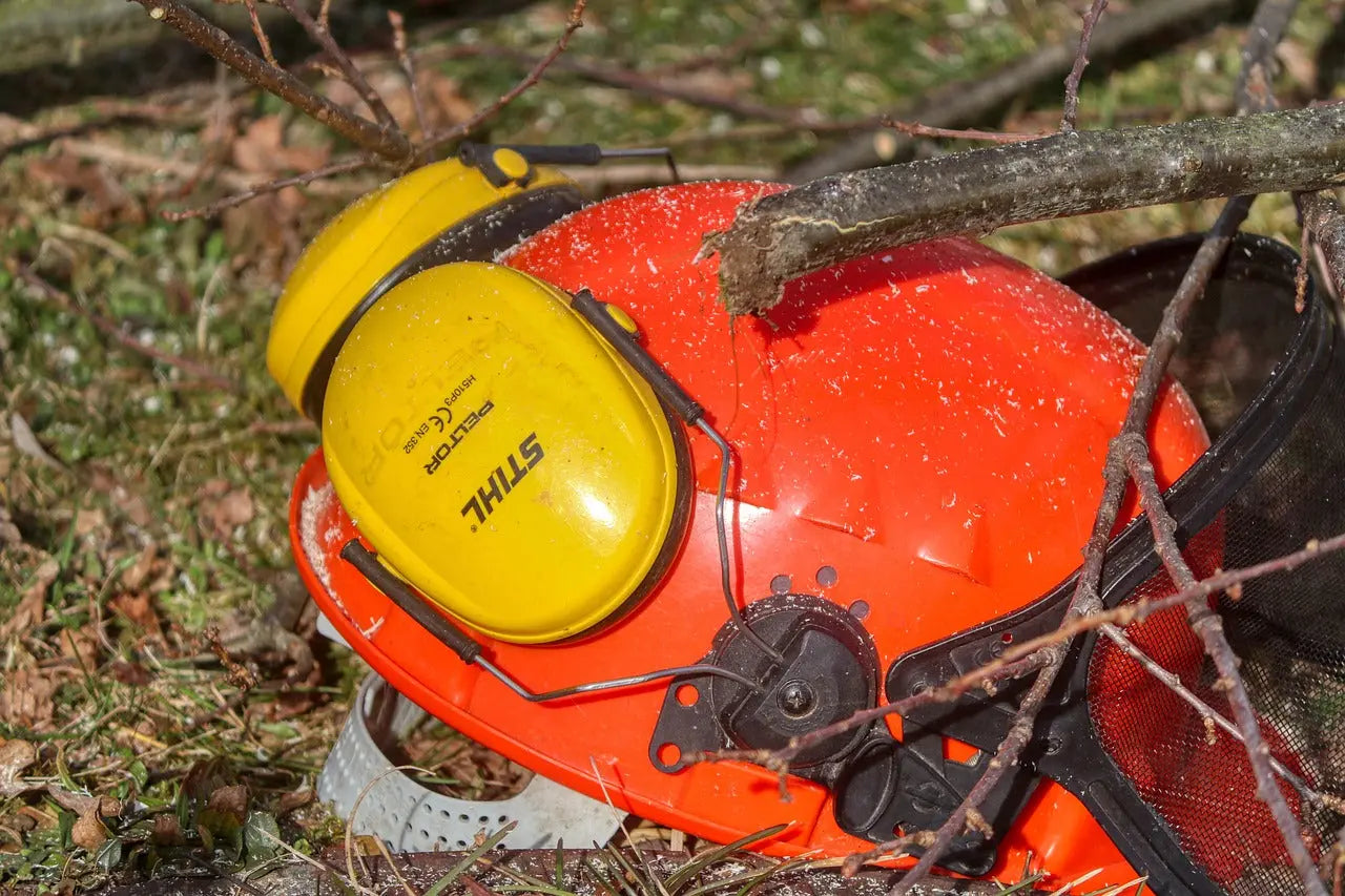 Forestry Ear Protection