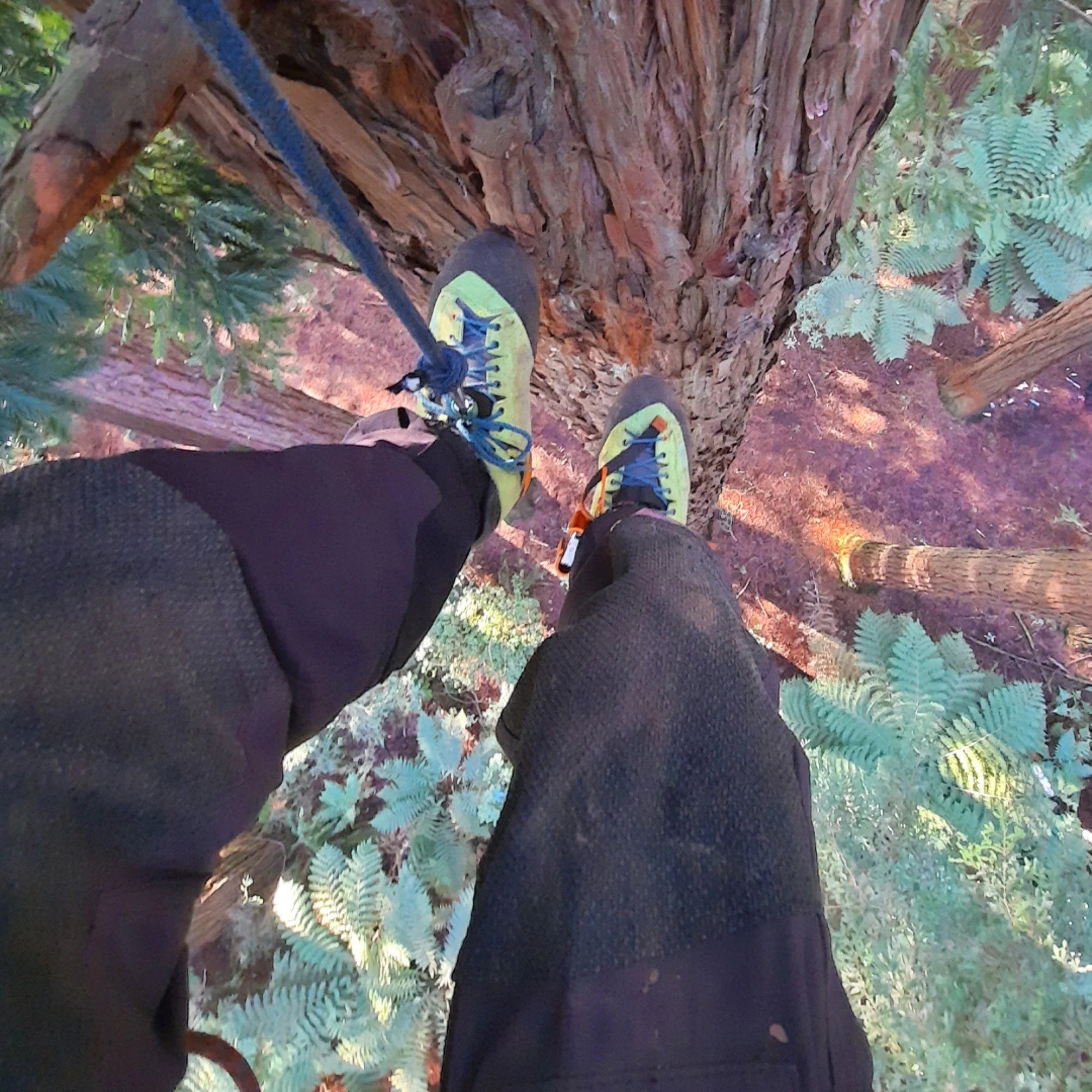 Kayo Chainsaw Protective Climbing Boot Arbortec
