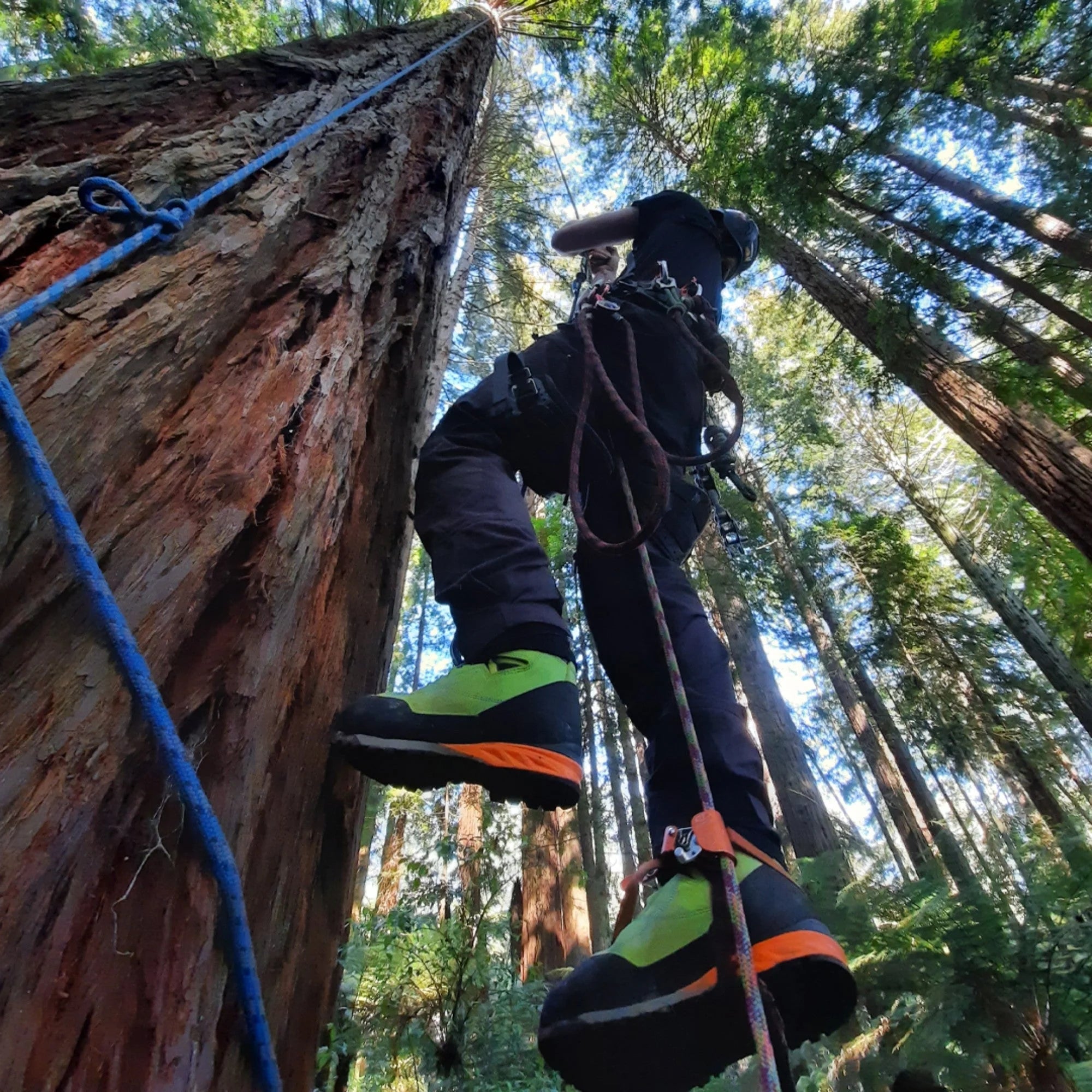 Kayo Chainsaw Protective Climbing Boot Arbortec