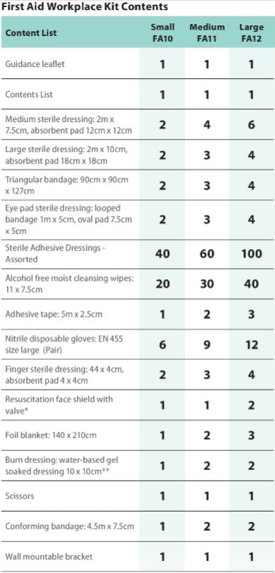 Workplace First Aid Kit 100